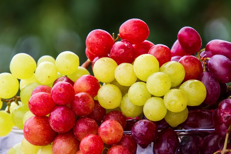 Wine Grapes